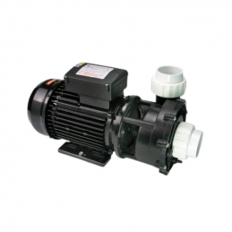 Pompe de massage Bi-vitesse WP250II - 2.5HP