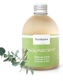 Parfum de spa EUCALYPTUS