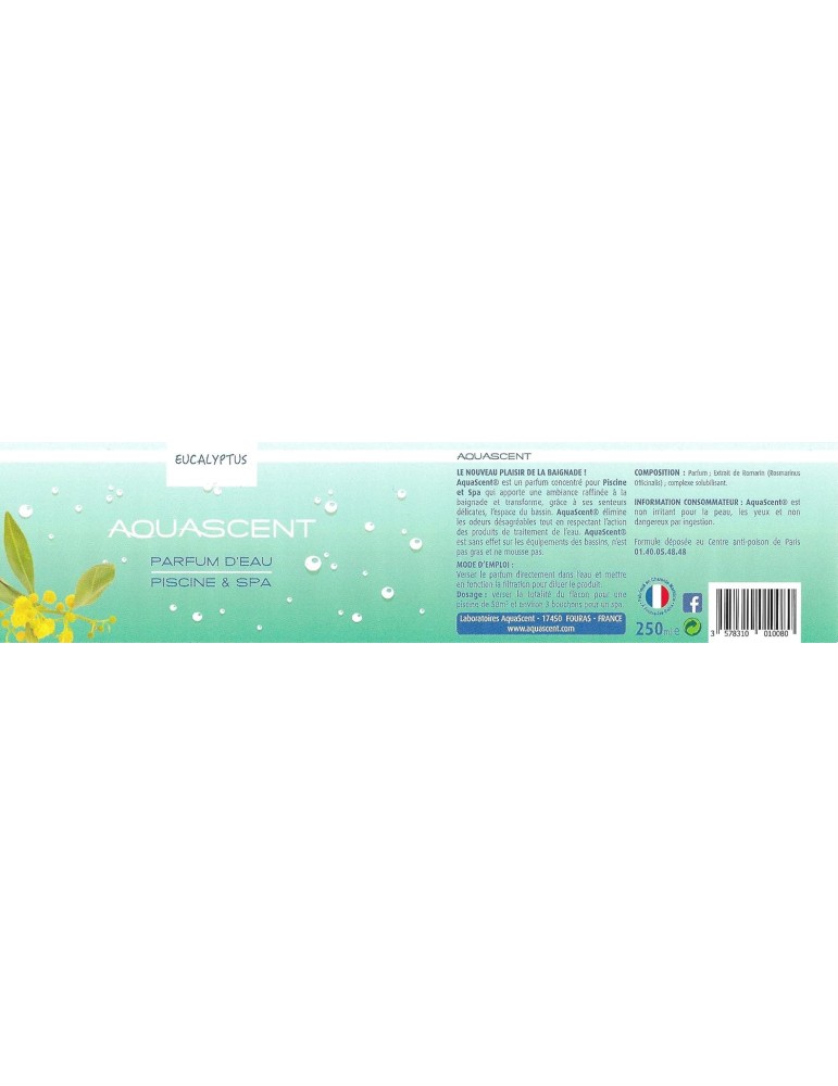 Parfum de spa EUCALYPTUS